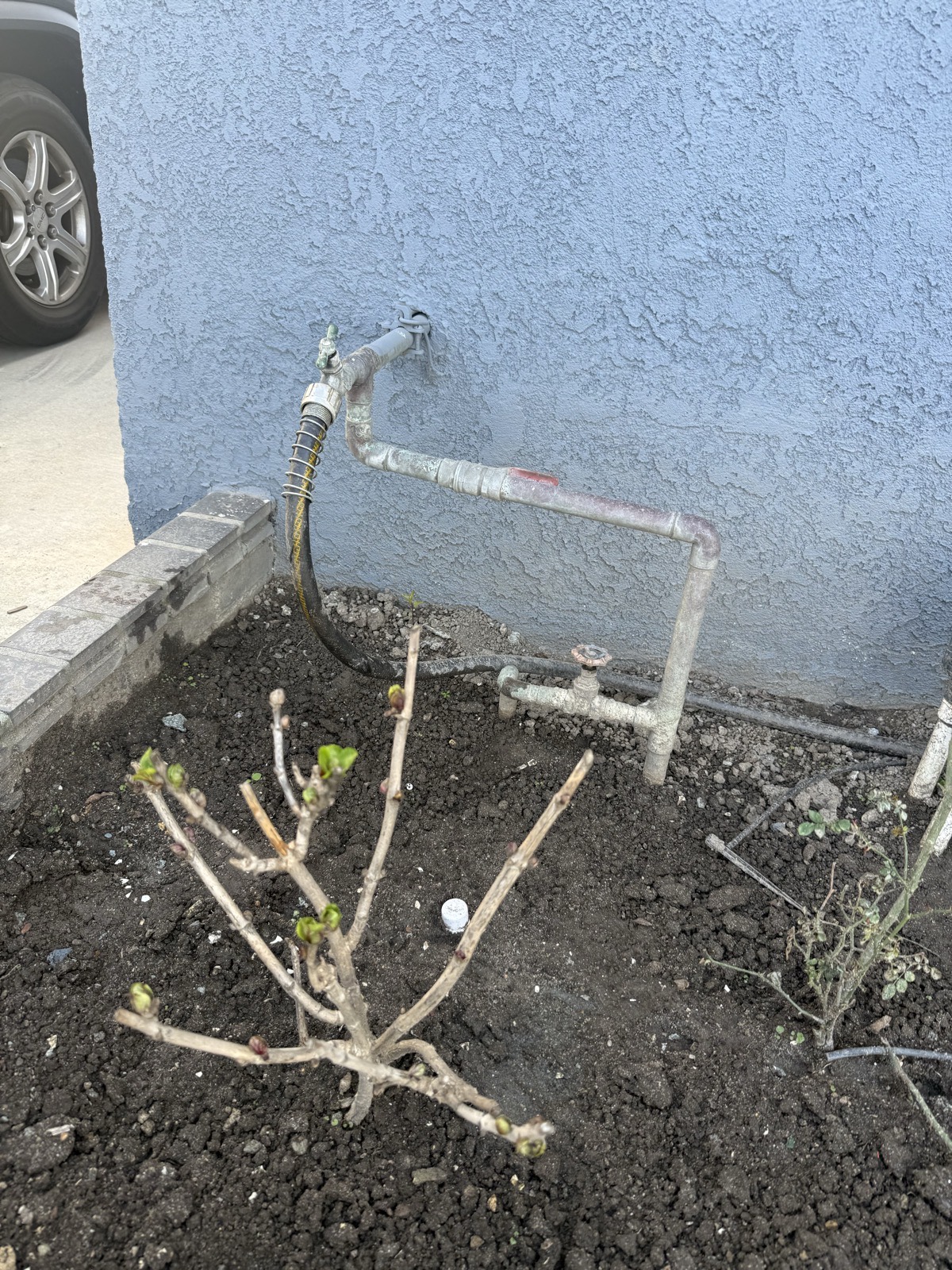 Exterior hose bib and shutoff valve